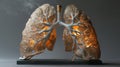 3D illustration of a pair of human lungs with the bronchial tree Royalty Free Stock Photo