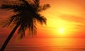 3D Illustration Palmtree Sunset