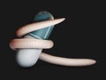 3d Illustration of parasitic worm around a pill