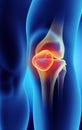 3D illustration of Patella, medical concept. Royalty Free Stock Photo