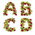 3D illustration of Peony flowers alphabet - letters A-D