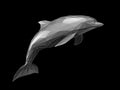 3d Illustration of polygonal dolphin on black background Royalty Free Stock Photo