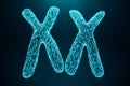 3D Illustration Polygonal Low poly Digital Artificial XX-Chromosomes Consisting Of Consisting Dots And Lines On Blue