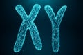 3D Illustration Polygonal Low poly Digital Artificial XY-Chromosomes Consisting Of Consisting Dots And Lines On Blue