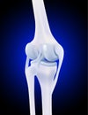 3d illustration of posterior collateral ligament of human knee bone on dark blue background Royalty Free Stock Photo