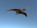 3d illustration of a flying pteranodon