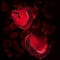 Red blood cells called erythrocytes disintegrating into parts Royalty Free Stock Photo