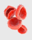 Red blood cells that transport oxygen adhering to them through the bloodstream