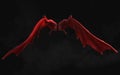 Red Demon Wing Plumage with Clipping Path.