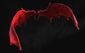 Red Demon Wing Plumage with Clipping Path.