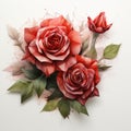 3d illustration of red roses on a white background Royalty Free Stock Photo