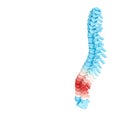 3d illustration render of a spine