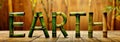 3d illustration render of a text word EARTH is spelled out using green bamboo sticks, Royalty Free Stock Photo