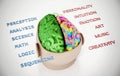 3D illustration representing two lobes of the human brain Royalty Free Stock Photo
