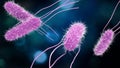 3D illustration of Salmonella Bacteria. Medicine concept. Royalty Free Stock Photo