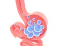 3D illustration of the schematic interior of the human stomach with gases.