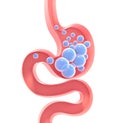 3D illustration of the schematic interior of the human stomach with gases.