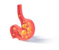 3D illustration of the schematic interior of the stomach with gases.