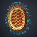 Scientifically correct representation of a flu pathogen in cross section