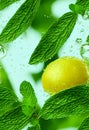 3d illustration seamless pattern of falling lemons and mint leaves water