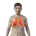 A 3D illustration of a senior woman with transparent skin, showcasing a pair of healthy lungs in intricate detail.