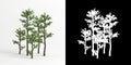 3d illustration of Serissa japonica bonsai isolated on white and its mask