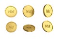 3d illustration Set of gold Eritrean nakfa coin in different angels on white background