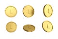 3d illustration Set of gold Moldovan leu coin in different angels on white background