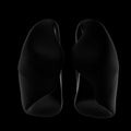 3D illustration of shape male lungs, black background. Front view Royalty Free Stock Photo