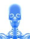 3D illustration of shiny blue skeleton system.