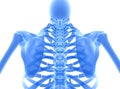 3D illustration of shiny blue skeleton system.