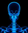 3D illustration of shiny blue skeleton system.