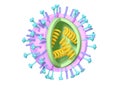 Flu. Influenza virus with RNA, surface proteins hemagglutinin and neuraminidase, medically 3D illustration