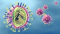 Flu. Influenza viruses with RNA, surface proteins hemagglutinin and neuraminidase,  medically 3D illustration Royalty Free Stock Photo