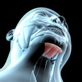 3d illustration of mylohyoid muscles on xray musculature Royalty Free Stock Photo