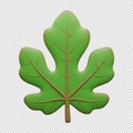 A 3d illustration of a single green maple leaf with intricate veins, isolated on transparent background Royalty Free Stock Photo