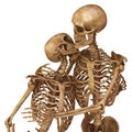 Skeletons of man and woman in the pose of lovers. Isolated on white background 3d illustration