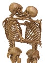 Skeletons of man and woman in the pose of lovers. Isolated on white background 3d illustration