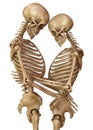 Skeletons of man and woman in the pose of lovers. Isolated on white background 3d illustration Royalty Free Stock Photo