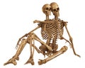 Skeletons of man and woman in the pose of lovers. Isolated on white background 3d illustration