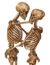 Skeletons of man and woman in the pose of lovers. Isolated on white background 3d illustration