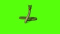 Snake Python on Green Screen background Royalty Free Stock Photo