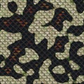 3D Illustration of snake skin Texture Background Royalty Free Stock Photo