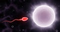 3D illustration of a sperm cell approaching an egg cell, surrounded by a vibrant background, representing the process of Royalty Free Stock Photo