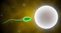 3D illustration of a sperm cell approaching an egg cell, surrounded by a vibrant background, representing the process of Royalty Free Stock Photo