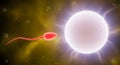 3D illustration of a sperm cell approaching an egg cell, surrounded by a vibrant background, representing the process of Royalty Free Stock Photo