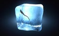 A sperm cell frozen into ice cube