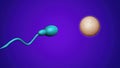 Sperm and fertile human egg. Insemination concept