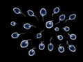 3D Render of large number of sperm, storm of sperm.