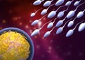 Sperm and egg Royalty Free Stock Photo